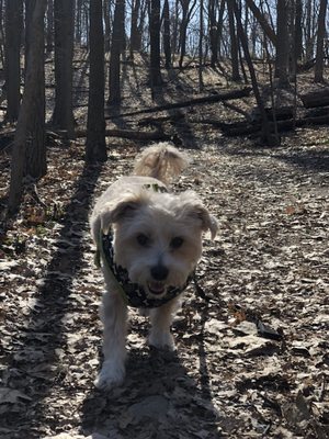 Bird Hills Nature Area by null