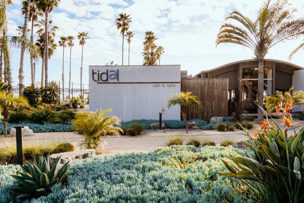 Tidal by null