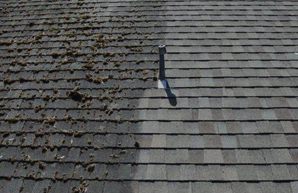 Slide of Trusted Roofing