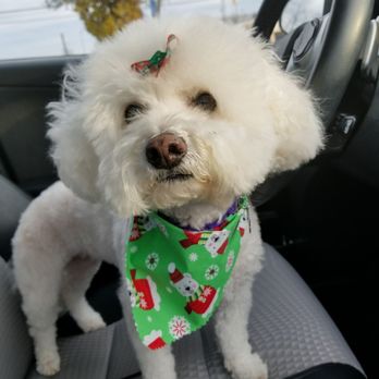 Sue's Sudsy Pup - Pet Groomers Near Me - Gambrills, Maryland