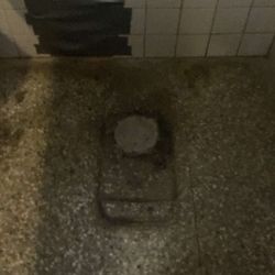 Paladium Bowl