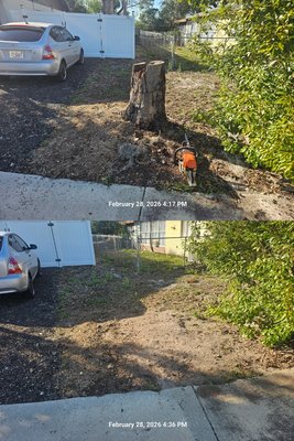 Complete Stump Removal in Land O Lakes, FL - This project involved removing a large tree stump that was creating a safety hazard and preventing the homeowner from restoring their lawn. Our professional stump grinding equipment completely removed the stump below ground level, allowing the area to be safely re-sodded.
We provided fast, affordable stump removal with minimal impact to the surrounding lawn. The stump was ground well below the surface to prevent regrowth and ensure a smooth, clean finish.
Project highlights:
• Complete stump removal below ground level
• Fast and efficient stump grinding service
• No damage to surrounding property
• Improved lawn appearance and safety
• Professional commercial stump grinding equipment used
Stump Professionals LLC provides professional stump grinding and stump removal services throughout Tampa, Land O Lakes, Wesley Chapel, Lutz, Odessa, and surrounding areas.
Contact us today for fast, affordable stump grinding and free estimates. Complete Stump Removal in Land O Lakes, FL - This project involved removing a large tree stump that was creating a safety hazard and preventing the homeowner from restoring their lawn. Our professional stump grinding equipment completely removed the stump below ground level, allowing the area to be safely re-sodded.
We provided fast, affordable stump removal with minimal impact to the surrounding lawn. The stump was ground well below the surface to prevent regrowth and ensure a smooth, clean finish.
Project highlights:
• Complete stump removal below ground level
• Fast and efficient stump grinding service
• No damage to surrounding property
• Improved lawn appearance and safety
• Professional commercial stump grinding equipment used
Stump Professionals LLC provides professional stump grinding and stump removal services throughout Tampa, Land O Lakes, Wesley Chapel, Lutz, Odessa, and surrounding areas.
Contact us today for fast, affordable stump grinding and free estimates.