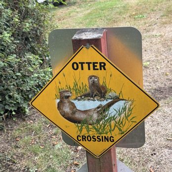 Shakti Cove Cottages - Hotels Near Me - Ocean Park, Washington
