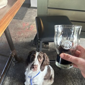 Hillman Beer - Indoor seating ! Pup friendly! - Breweries Near Me - Asheville, North Carolina Hillman Beer - Indoor seating ! Pup friendly! - Breweries Near Me - Asheville, North Carolina