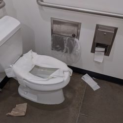 Chipotle Mexican Grill - The shitter had flies and shit in it.