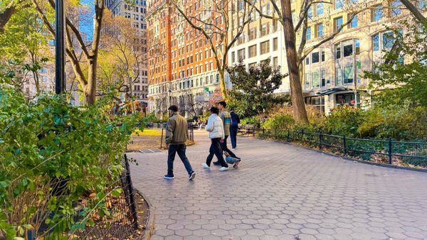 Madison Square Park by null