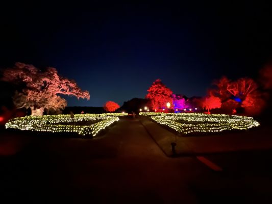 The Inn At Middleton Place, LLC by null