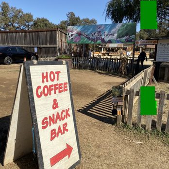 Fog Willow Farms - Yaaasss to hot coffee and snack bar! - Attraction Farms Near Me - Wilton, California Fog Willow Farms - Yaaasss to hot coffee and snack bar! - Attraction Farms Near Me - Wilton, California