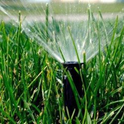 Suburban Lawn Sprinkler