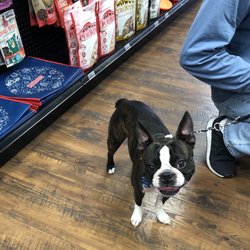horizon pet supply winchester