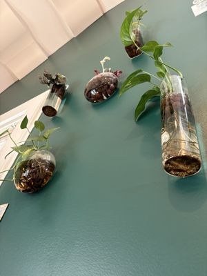 toast + tonic creative kitchen by null