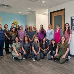 Revel Vet - Best team ever!