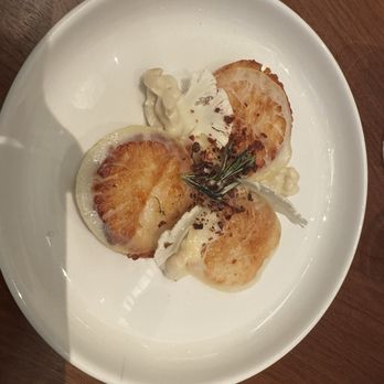 Lilac - Diver scallops - Mediterranean Near Me - Tampa, Florida