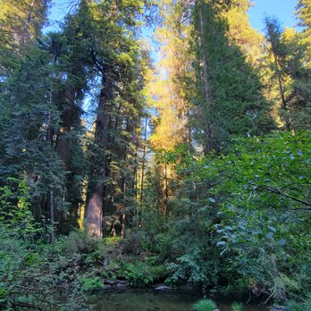 Jedediah Smith Redwoods State Park - Parks Near Me