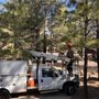 Photo of White Mountains Tree Service