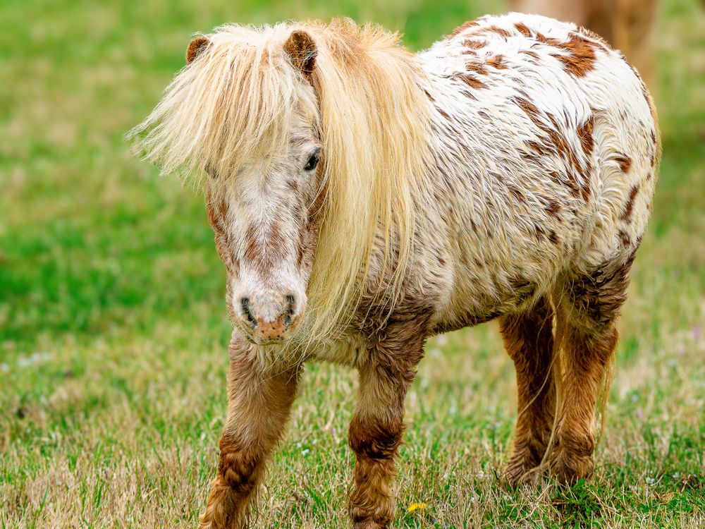 Heavens Bales - wedding in Knoxville, TN
