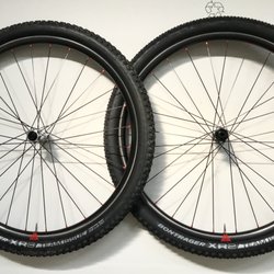 Freshly laced 1300g race wheelset. Light Carbon, CXray's, DT Swiss 350's. Zoom!