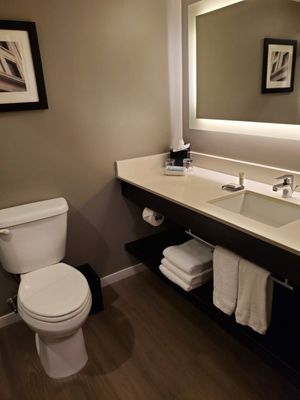 Dallas/Addison Marriott Quorum by the Galleria by null