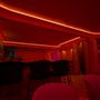 Photo of Le Tigre