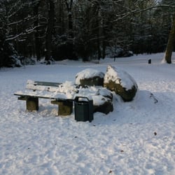 Eversten Holz