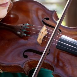 Rebecca Lester Strings Studio