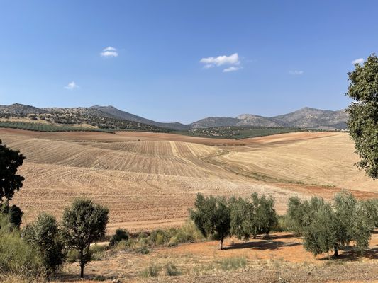 Hotel Cortijo del Marqués by null