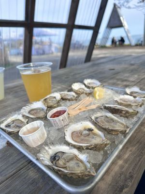 The Raw Bar at Island Creek Oyster Farm by null
