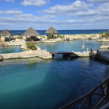 Dolphinaris - Arts & Entertainment Near Me - San Miguel de Cozumel, ROO