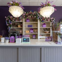 Pure Lavender Day Spa
