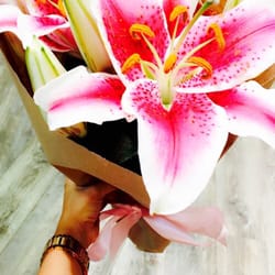 Safeway - Got me some Lillies!!!