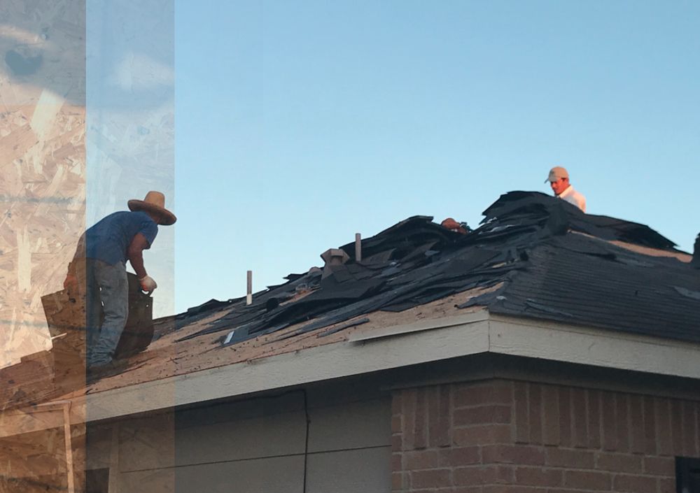 Slide of Home Restorer P&G