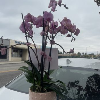 Orchid Boutique Florist - Flowers & Gifts Near Me - San Gabriel, California Orchid Boutique Florist - Flowers & Gifts Near Me - San Gabriel, California