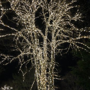 Winterlights at Newfields - Festivals Near Me - Indianapolis, Indiana Winterlights at Newfields - Festivals Near Me - Indianapolis, Indiana