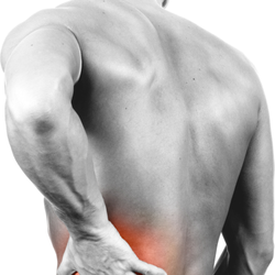 Lake Buena Vista Chiropractic