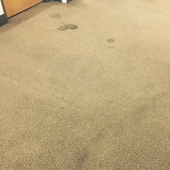 Labcorp - I'm willing to bet if I bring some peroxide more than one of these stains are vulnerable to be blood stains - Laboratory Testing Near Me - Downey, California