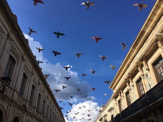 Andador Turístico by null