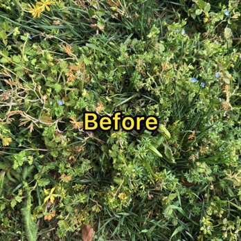The Green Team - Lawn Services Near Me - Roanoke, Virginia The Green Team - Lawn Services Near Me - Roanoke, Virginia
