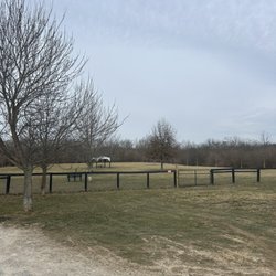Michael Kay's Bark Park at Red Orchard Park
