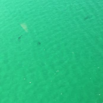 Beach Helicopter - Travel Services Near Me - Destin, Florida