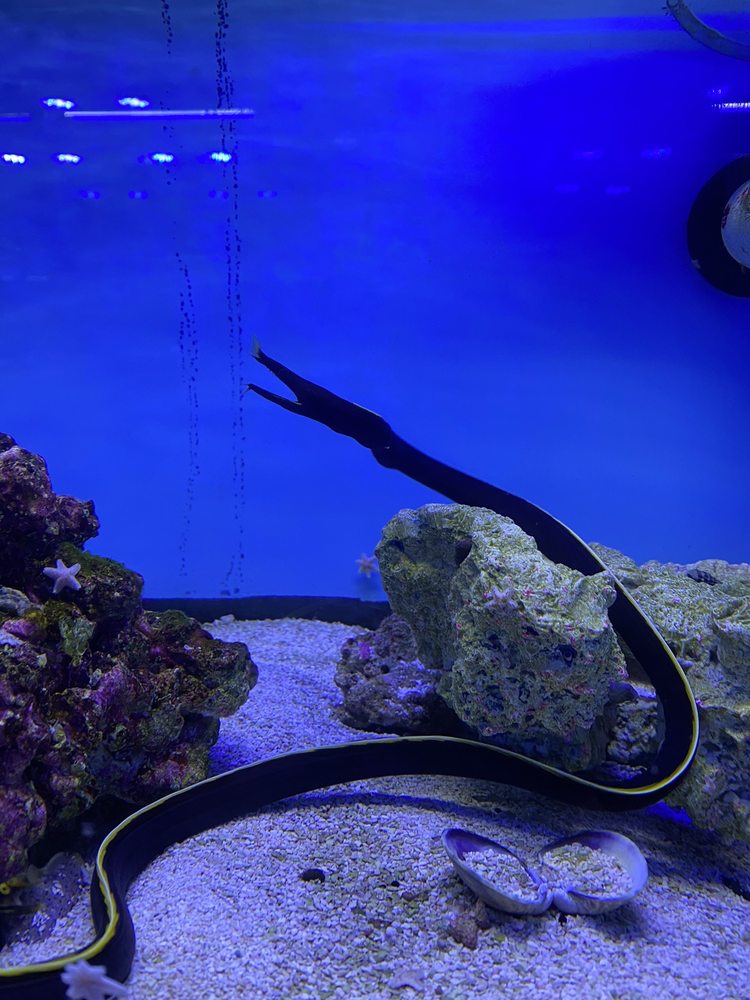 J & L AQUATICS Updated October 2024 11 Photos & 25 Reviews 3430