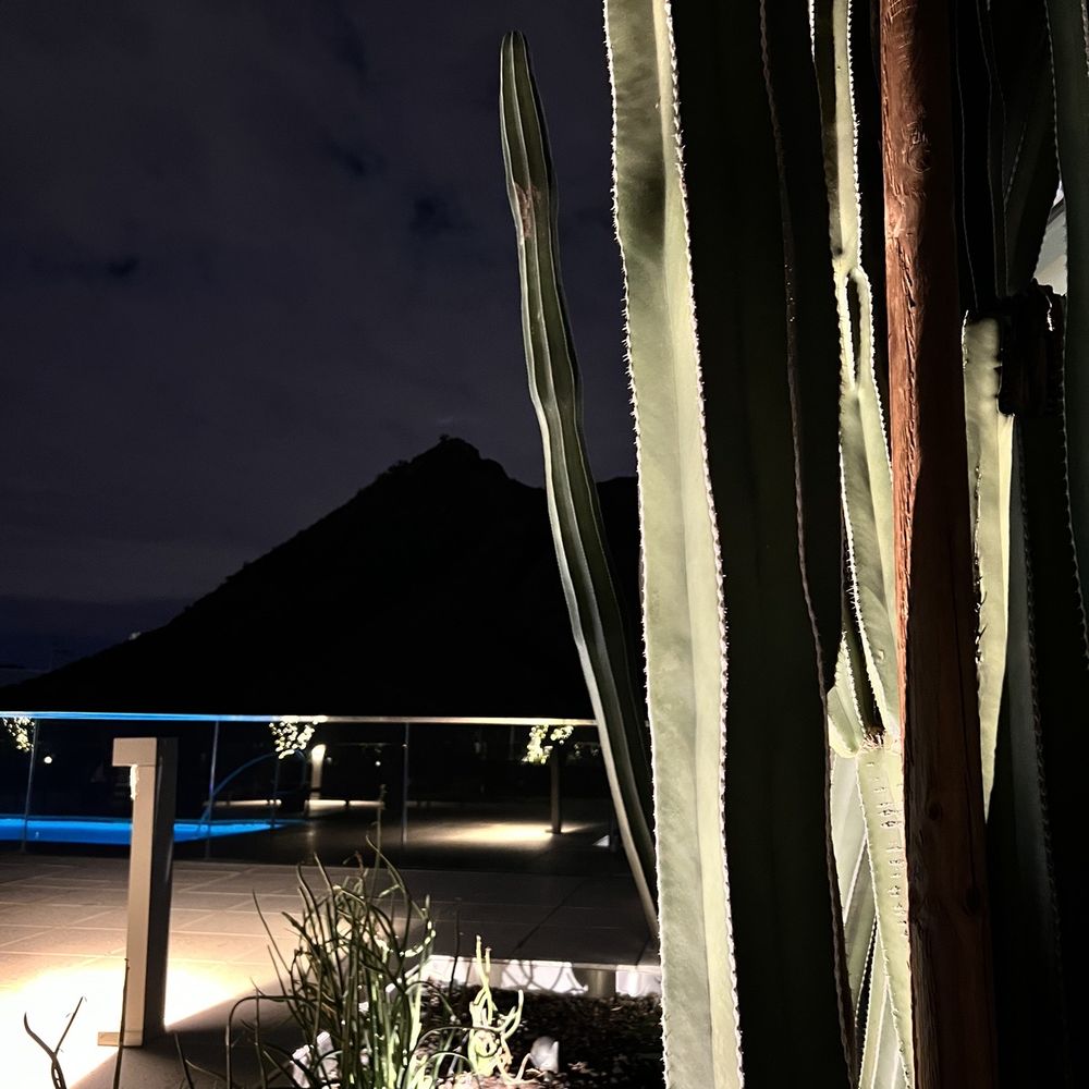 AC Hotel Phoenix Tempe/Downtown - Hotels Near Me - Tempe, Arizona