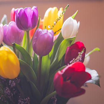 Sarah's Flowers - Tulips - Florists Near Me - Fullerton, California