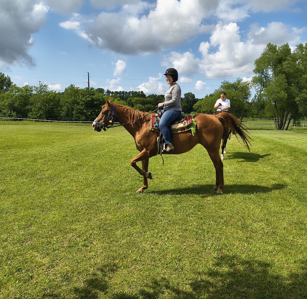 Tower Hill Stables - equestrian in Hampshire, IL