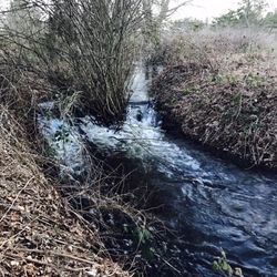 Woodland Creek Community Park - Sound of nature