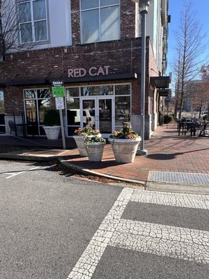 The Red Cat @ Railroad Park by null