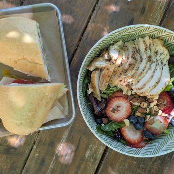 Tree House Cafe - Sandwich of the day and salad - Cafes Near Me - West Sacramento, California Tree House Cafe - Sandwich of the day and salad - Cafes Near Me - West Sacramento, California