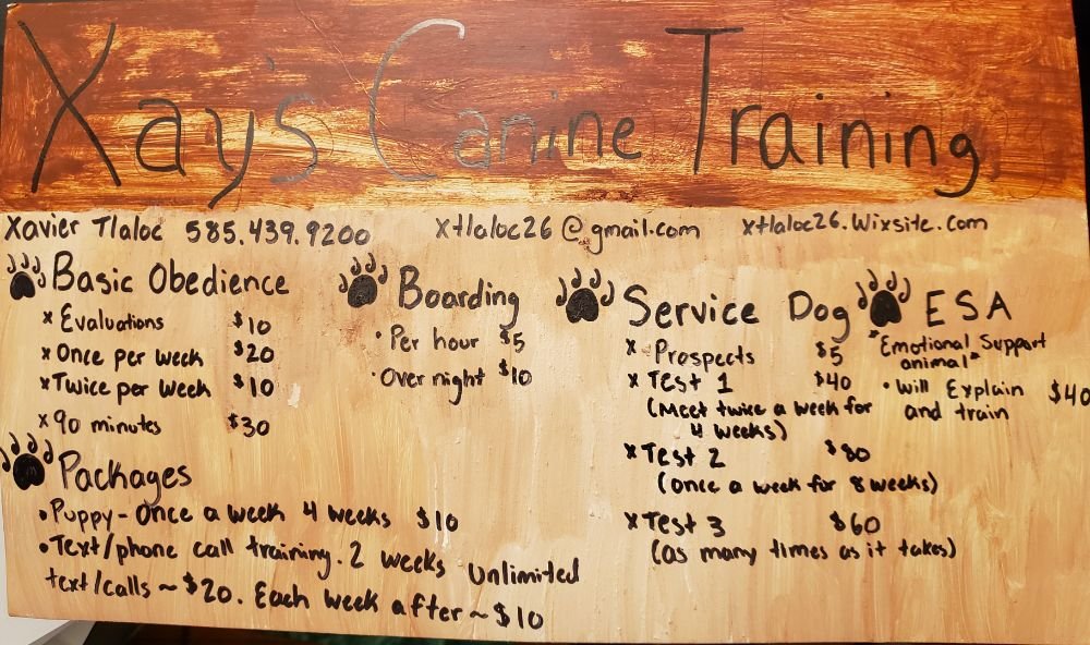 Xay's Canine Training - pet boarding facility in Caledonia, NY