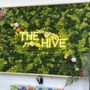 Photo of The Hive at BDT
