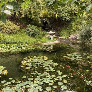 UC Botanical Garden at Berkeley - Pound in Japan area - Botanical Gardens Near Me - Berkeley, California UC Botanical Garden at Berkeley - Pound in Japan area - Botanical Gardens Near Me - Berkeley, California