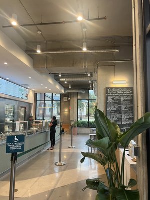 sweetgreen - Healthy Salads, Bowls and Plates by null